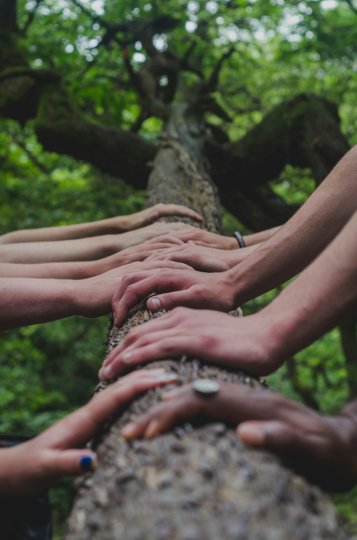 Education as a Tool for Empowerment and Progress